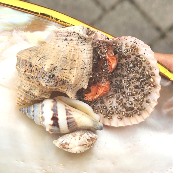 Two's Company Ornamented Cabebe Shell Footed Dish With Brass Trim - Picture 4 of 6